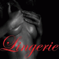 lingerie_206х294